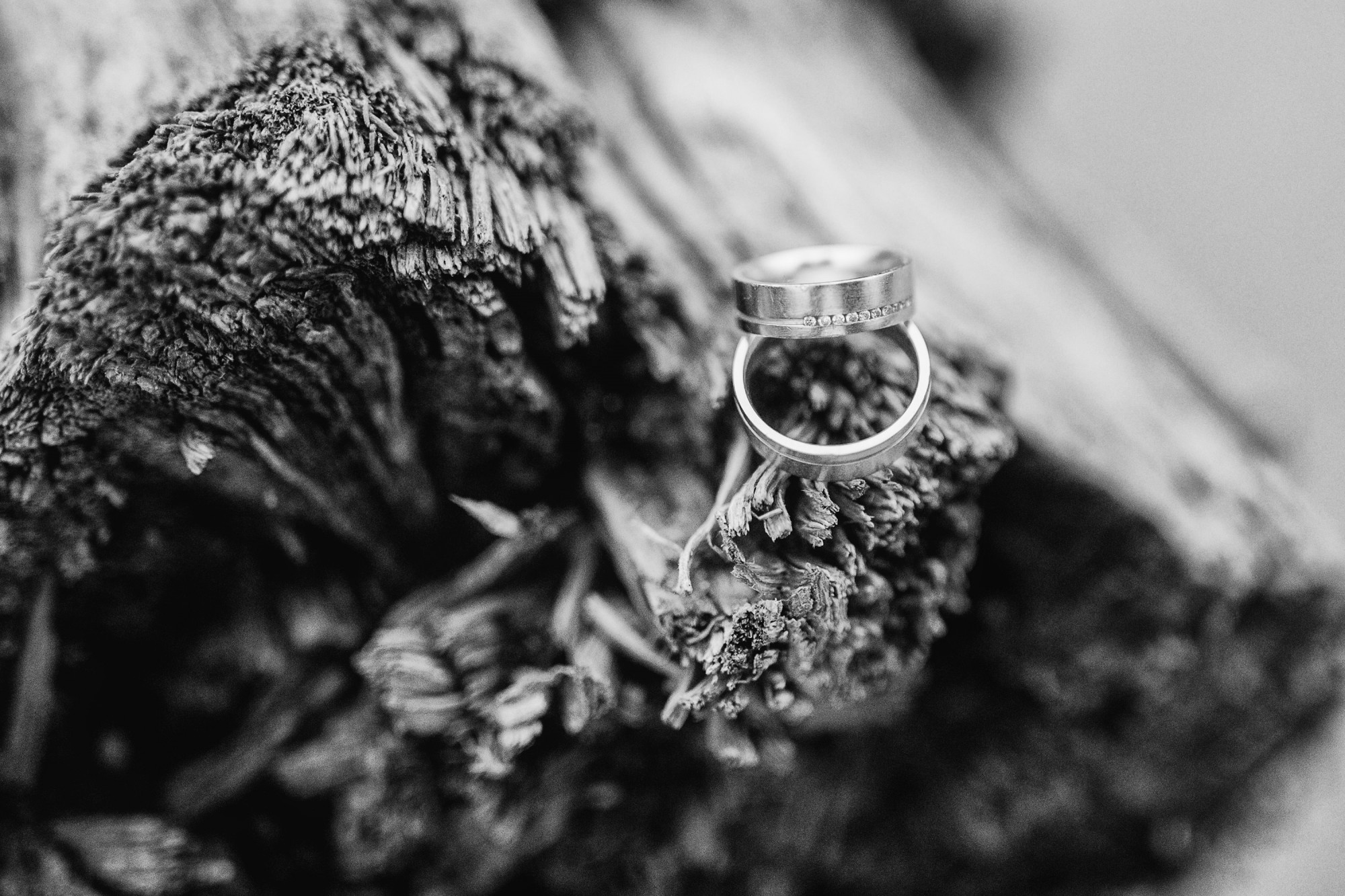 Ensaio de pré casamento na praia de balneario camburiu com Rodrigo Tartaro e Gabriela Vieira por Lorran Souza e Léia Sotile - fotografos de casamentos - GR-1099